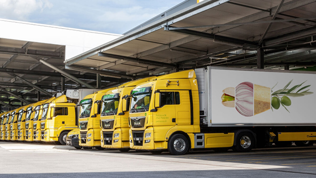 Témoignage Petracca