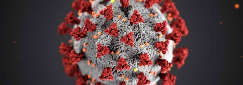 La gestion du coronavirus en entreprise