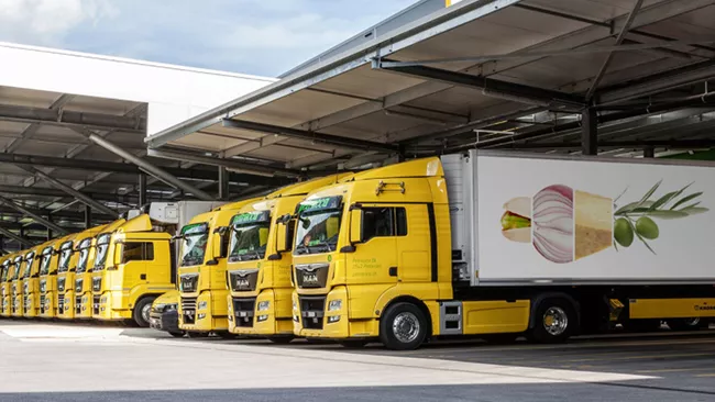 Testimonial Petracca