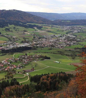 Verbesserung des Personalmanagements in der Gemeinde